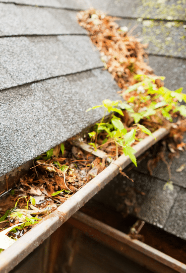 Featured image for Auto-prepared featured image